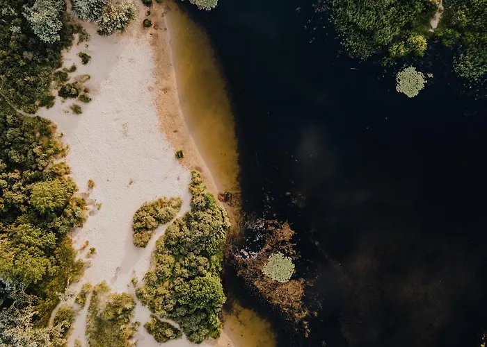 Family Michelle 펜션